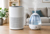 Air Purifier Versus Humidifier: Which Helps?
